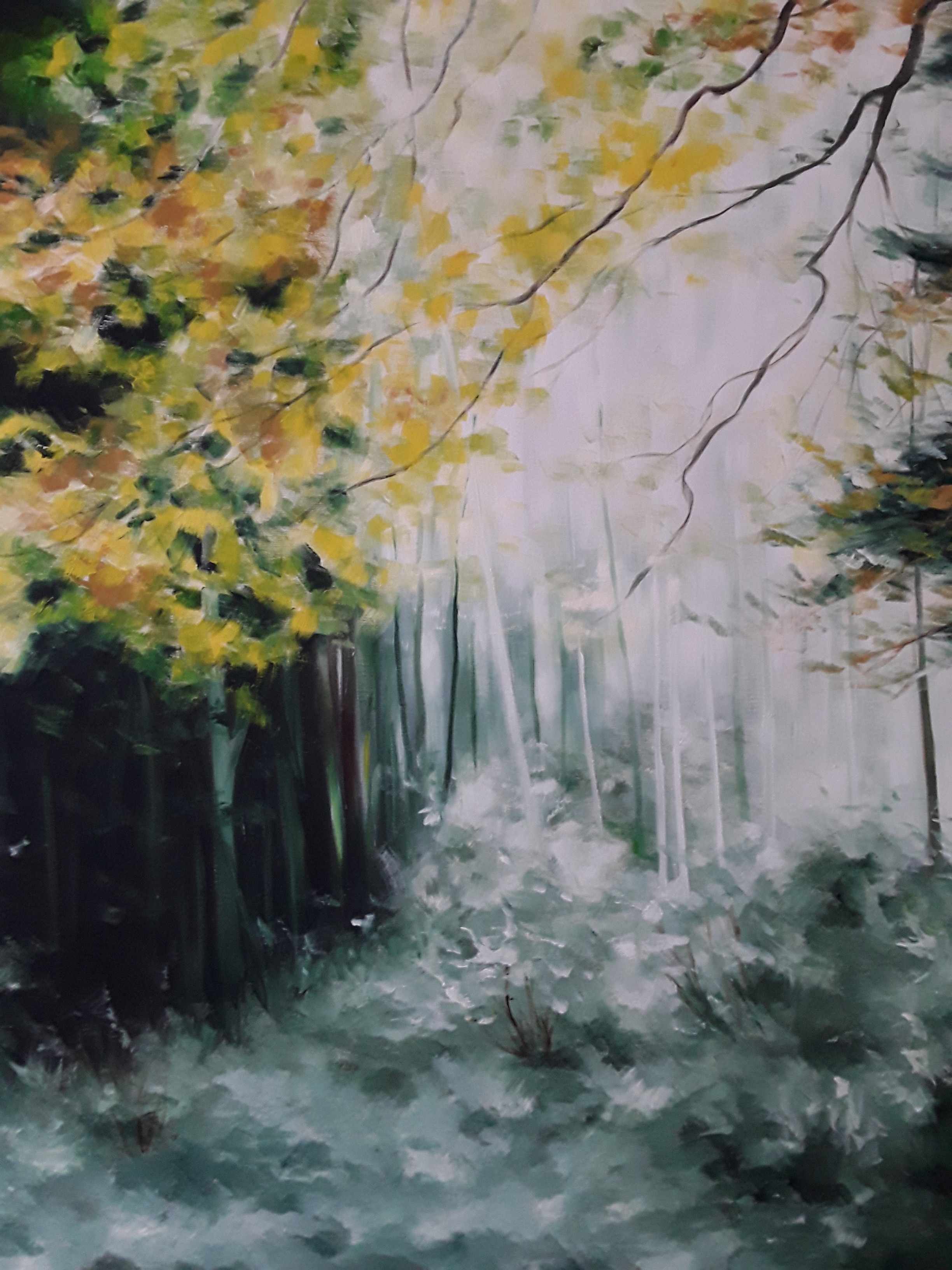 Morgenlicht im Wald 100x100 2018